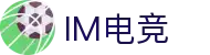 IM(股份有限公司)电竞-电子竞技平台